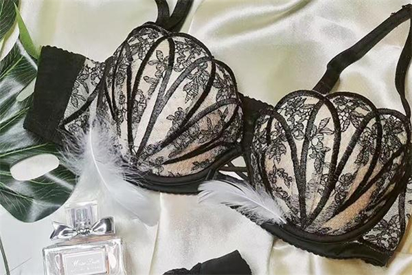 micisty內(nèi)衣怎么樣 micisty內(nèi)衣為什么那么貴 micisty內(nèi)衣怎么樣 micisty內(nèi)衣為什么那么貴