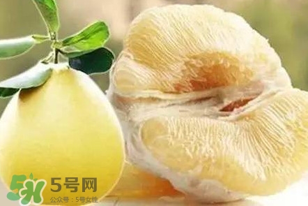 蜜柚是哪個(gè)季節(jié)的水果？蜜柚和沙田柚的區(qū)別是什么？