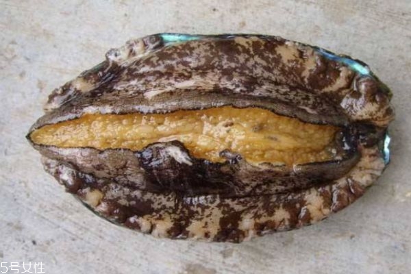 鮑魚的營養(yǎng)價(jià)值有哪些呢 吃鮑魚有什么好處呢