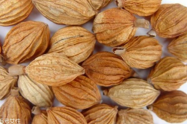 什么人群不能吃肉豆蔻呢 吃肉豆蔻應該注意什么呢 什么人群不能吃肉豆蔻呢 吃肉豆蔻應該注意什么呢