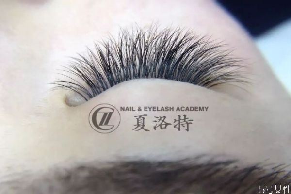 嫁接睫毛能管多長時(shí)間 嫁接睫毛后如何保持更長時(shí)間 嫁接睫毛能管多長時(shí)間 嫁接睫毛后如何保持更長時(shí)間