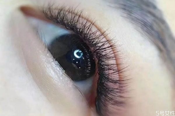 嫁接睫毛能管多長時(shí)間 嫁接睫毛后如何保持更長時(shí)間 嫁接睫毛能管多長時(shí)間 嫁接睫毛后如何保持更長時(shí)間