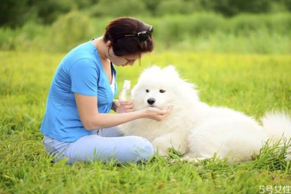 什么是弓形蟲呢 弓形蟲有什么危害呢 什么是弓形蟲呢 弓形蟲有什么危害呢