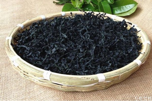 什么是海木耳呢 海木耳有什么營養(yǎng)價(jià)值呢