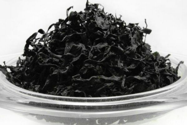 什么是海木耳呢 海木耳有什么營養(yǎng)價(jià)值呢