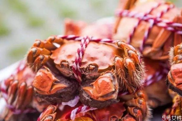 什么是梭子蟹呢 梭子蟹有什么營(yíng)養(yǎng)價(jià)值呢 什么是梭子蟹呢 梭子蟹有什么營(yíng)養(yǎng)價(jià)值呢