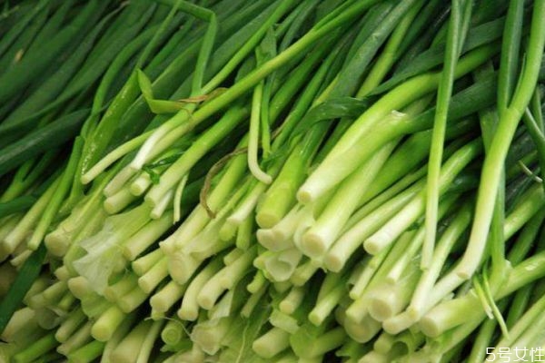 韭菜是涼性還是熱性 韭菜可以天天吃嗎 韭菜是涼性還是熱性 韭菜可以天天吃嗎