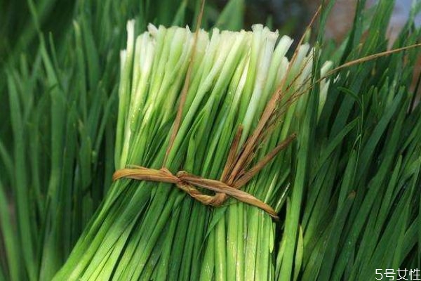 韭菜是涼性還是熱性 韭菜可以天天吃嗎 韭菜是涼性還是熱性 韭菜可以天天吃嗎