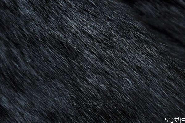 兔毛內膽掉毛怎么處理 防止兔毛掉毛的方法 兔毛內膽掉毛怎么處理 防止兔毛掉毛的方法