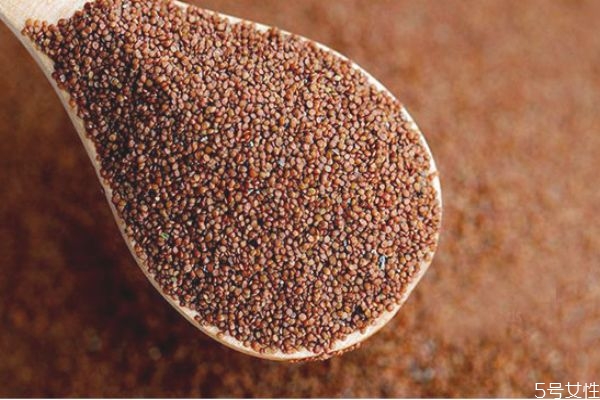 敷海藻面膜前可以涂蘆薈膠嗎 海藻面膜敷多久好 敷海藻面膜前可以涂蘆薈膠嗎 海藻面膜敷多久好