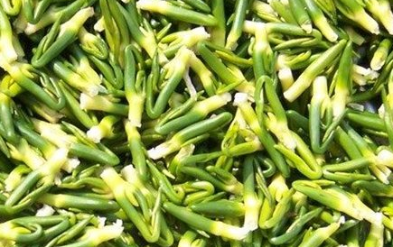 蓮子煮粥要去芯嗎 蓮子芯吃多了會怎樣 蓮子煮粥要去芯嗎 蓮子芯吃多了會怎樣