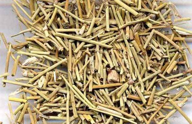 麻黃有什么功效 麻黃素和麻黃堿有什么區(qū)別呢 麻黃有什么功效 麻黃素和麻黃堿有什么區(qū)別呢