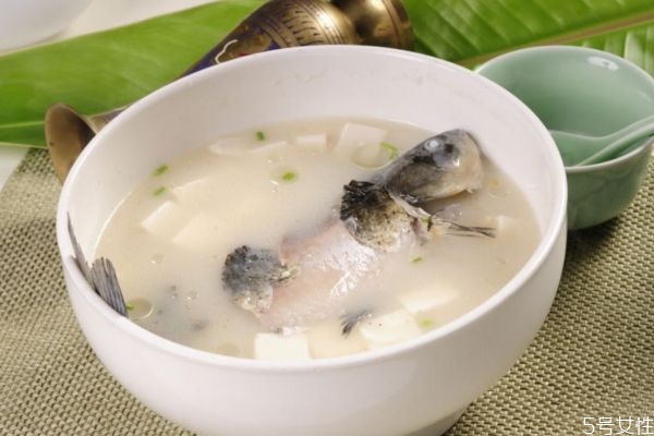 鯽魚湯怎么做好吃 鯽魚湯的簡(jiǎn)單做法