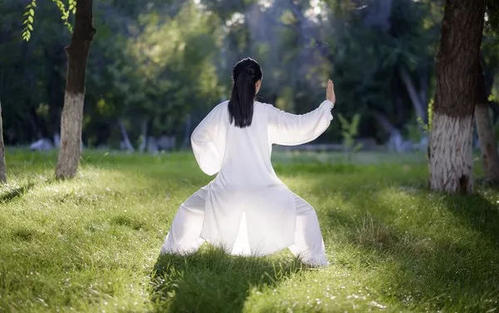 打太極要注意什么 打太極的禁忌有哪些 打太極要注意什么 打太極的禁忌有哪些