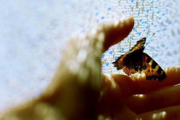 在婚姻中為什么要包容 包容在婚姻中的重要 在婚姻中為什么要包容 包容在婚姻中的重要