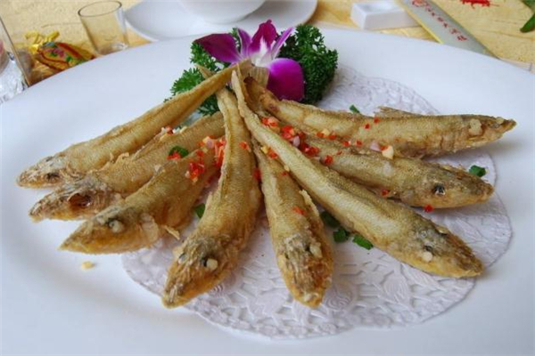 沙丁魚(yú)是海魚(yú)嗎 沙丁魚(yú)是發(fā)物嗎