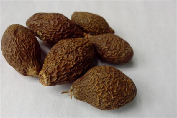 胖大?？梢灾温匝恃讍?胖大?？梢灾慰人詥?></p><h3>胖大海的功效與作用</h3><p>第一、改善咽部疾病</p><p>很多人出現(xiàn)咽喉腫痛是因?yàn)樵谘屎聿课挥袩岫净蛘叻螣岬鹊葐?wèn)題導(dǎo)致，在治療的時(shí)候要以清利咽喉和去熱毒為主，而胖大海本身屬于寒涼性的藥物，它可以幫助達(dá)到泄肺熱和清熱解毒效果，如果能夠搭配上其他的同類中藥服用，效果還會(huì)更理性一些，不僅如此，它還能夠幫助改善聲音嘶啞甚至是失音問(wèn)題呢。</p><p>第二、改善肺熱、肺燥和咳嗽問(wèn)題</p><p>如果風(fēng)熱侵蝕到人的肺部就會(huì)導(dǎo)致咳嗽等等問(wèn)題出現(xiàn)，而且，這樣的情況下要么沒(méi)有痰，要么痰的顏色是非常黃而且很濃的，這個(gè)時(shí)候選擇服用胖大海的話則能夠幫助改善這種咳嗽癥狀，但是，直接用它泡水改善效果并不明顯，最好是搭配上魚腥草、蘆葦根或者是黃芩等等一起來(lái)服用。</p><p>第三、改善大便干燥問(wèn)題</p><p>胖大海本身是寒涼性的藥物，在清腸通便方面有比較明顯的效果，所以，在臨床上可以用于改善因?yàn)榇竽c熱積導(dǎo)致的便秘或者排便不通暢問(wèn)題，不過(guò)，它僅僅適合癥狀比較輕的情況，如果問(wèn)題嚴(yán)重則需要搭配其他的藥物才行。</p> </div>
<div align=