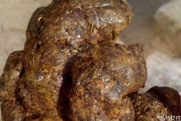 蜂膠涂臉可以祛斑嗎 蜂膠涂臉能祛斑嗎 蜂膠涂臉可以祛斑嗎 蜂膠涂臉能祛斑嗎