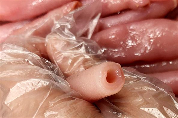 海腸可以生吃嗎 海腸怎么生吃 海腸可以生吃嗎 海腸怎么生吃