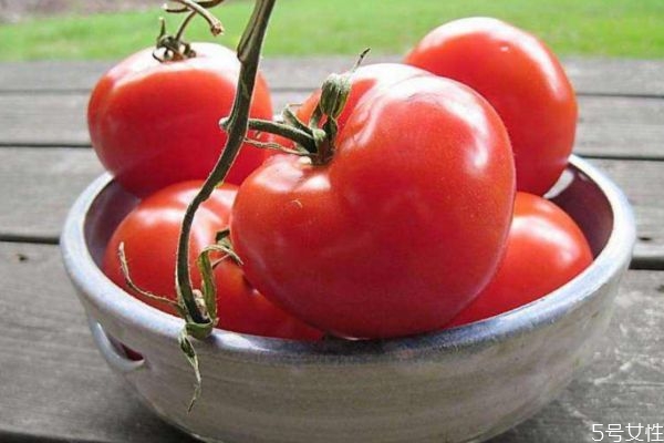 吃西紅柿可以美白嗎 吃西紅柿有美白的效果嗎 吃西紅柿可以美白嗎 吃西紅柿有美白的效果嗎