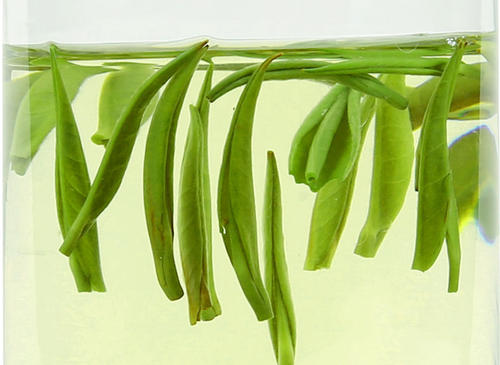 雀舌茶泡幾次好 品嘗雀舌茶要多少度好 雀舌茶泡幾次好 品嘗雀舌茶要多少度好