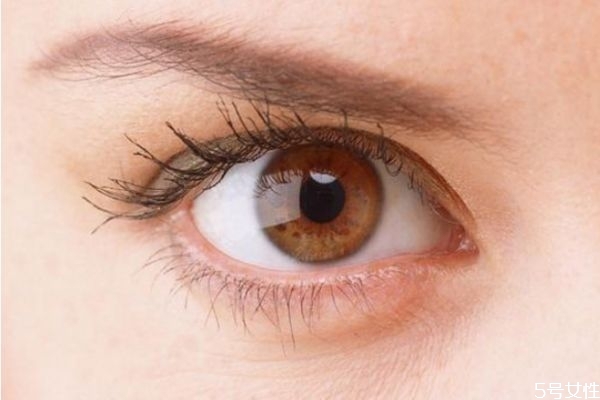 十幾塊的眼影能用嗎 用便宜眼影害處 十幾塊的眼影能用嗎 用便宜眼影害處