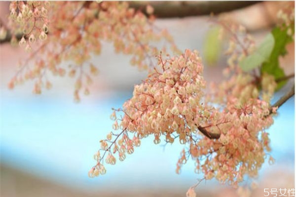 單身時(shí)間長了會(huì)有哪些表現(xiàn) 單身太久的五大癥狀