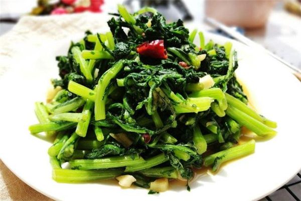 菊花菜是什么 菊花菜的功效與作用 菊花菜是什么 菊花菜的功效與作用