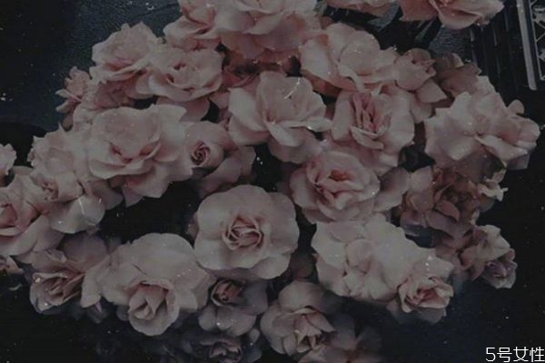 怎樣才算是正式交往 男生給你發(fā)家人照片說明什么 怎樣才算是正式交往 男生給你發(fā)家人照片說明什么