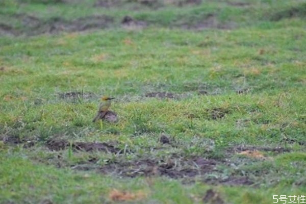 異地男朋友出軌了要分手 異地男朋友出軌了我該怎么辦 異地男朋友出軌了要分手 異地男朋友出軌了我該怎么辦
