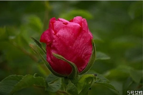 為什么父母反對(duì)姐弟戀 姐弟戀輸?shù)氖钦l 為什么父母反對(duì)姐弟戀 姐弟戀輸?shù)氖钦l