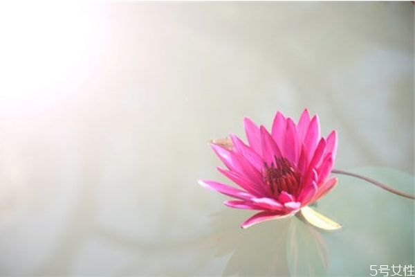 三角戀怎么跟他提分手 怎樣處理三角戀關(guān)系 三角戀怎么跟他提分手 怎樣處理三角戀關(guān)系