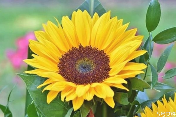 為什么父母反對(duì)姐弟戀 姐弟戀輸?shù)氖钦l 為什么父母反對(duì)姐弟戀 姐弟戀輸?shù)氖钦l