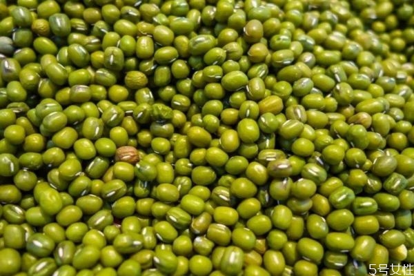 如何挑選綠豆 綠豆的形狀和顏色是什么 如何挑選綠豆 綠豆的形狀和顏色是什么