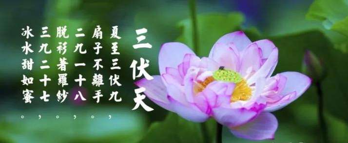 三伏天是什么？三伏天應(yīng)注意什么？