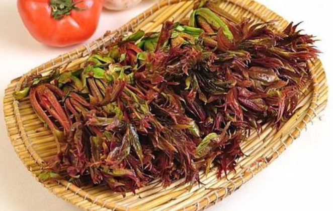 香椿頭有什么功效與作用 香椿頭的功效與禁忌 香椿頭有什么功效與作用 香椿頭的功效與禁忌