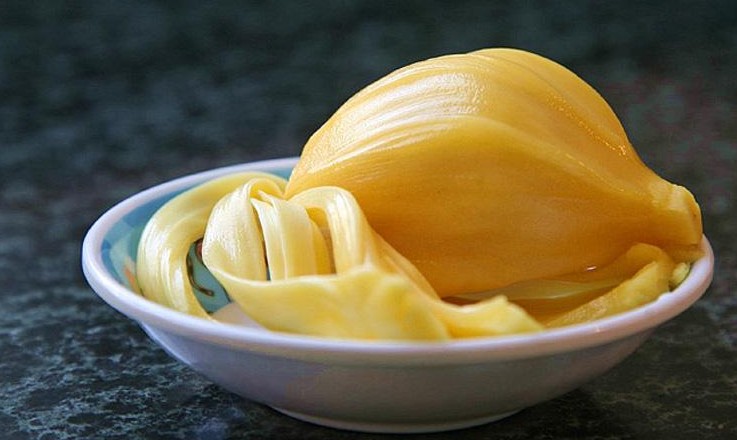 菠蘿蜜核的功效與作用、禁忌和食用方法