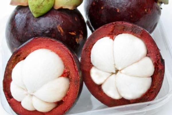 山竹是幾月份的應季水果 山竹是什么季節(jié)的水果 山竹是幾月份的應季水果 山竹是什么季節(jié)的水果