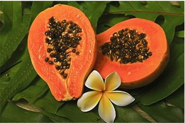 木瓜吃生的好還是熟的好 木瓜怎么催熟比較快 木瓜吃生的好還是熟的好 木瓜怎么催熟比較快