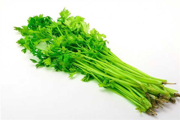 芹菜可以降高血壓?jiǎn)?芹菜降壓效果怎么樣 芹菜可以降高血壓?jiǎn)?芹菜降壓效果怎么樣