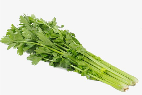 芹菜可以降高血壓?jiǎn)?芹菜降壓效果怎么樣 芹菜可以降高血壓?jiǎn)?芹菜降壓效果怎么樣