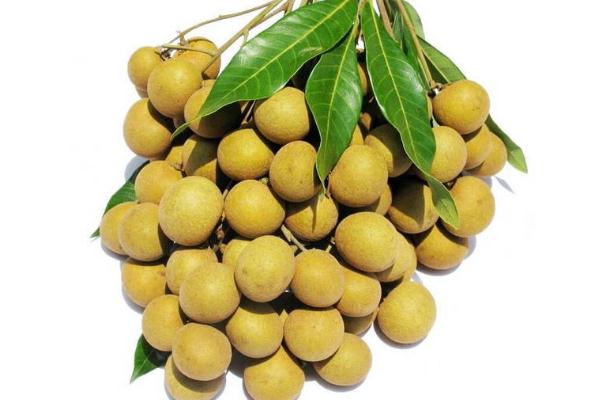 龍眼對(duì)女人有什么好處 龍眼會(huì)不會(huì)上火 龍眼對(duì)女人有什么好處 龍眼會(huì)不會(huì)上火