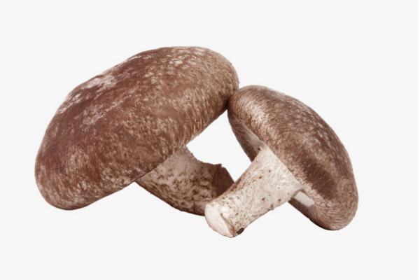 香菇會過敏嗎 香菇過敏怎么辦 香菇會過敏嗎 香菇過敏怎么辦