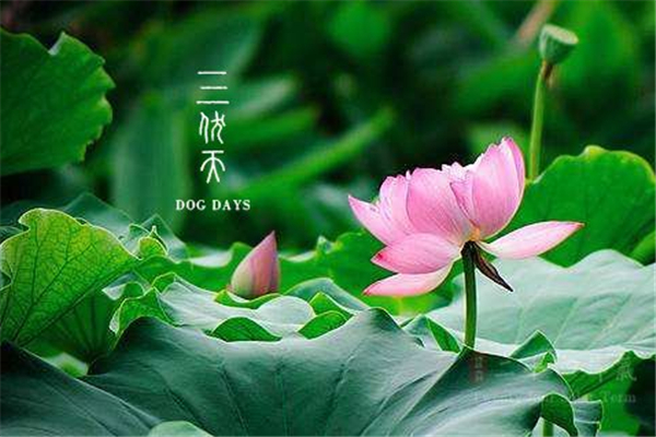 三伏天從什么時(shí)候開始 三伏天持續(xù)多久 三伏天從什么時(shí)候開始 三伏天持續(xù)多久