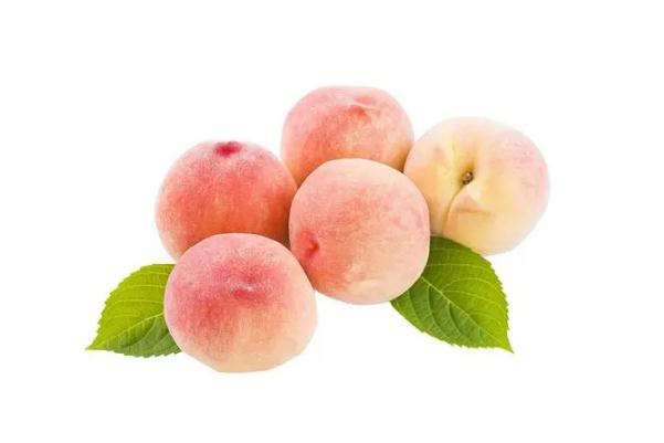 桃子要放冰箱儲存嗎 桃子要去皮去吃嗎 桃子要放冰箱儲存嗎 桃子要去皮去吃嗎