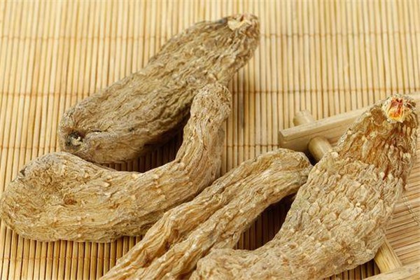 天麻越大藥效越好嗎 天麻怎么分辨真假好壞 天麻越大藥效越好嗎 天麻怎么分辨真假好壞