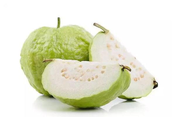 番石榴的功效與作用 番石榴減肥可以吃嗎 番石榴的功效與作用 番石榴減肥可以吃嗎