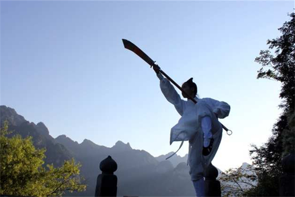 武術可以自學嗎 武術可以提高什么素質