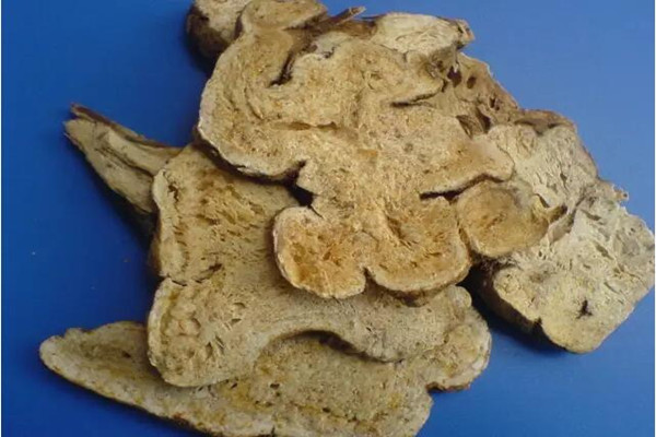 白術(shù)什么人不能吃 白術(shù)適合什么人吃 白術(shù)什么人不能吃 白術(shù)適合什么人吃