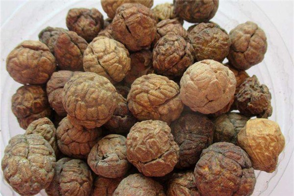 草豆蔻可以做調(diào)料嗎 草豆蔻可以燉肉嗎 草豆蔻可以做調(diào)料嗎 草豆蔻可以燉肉嗎